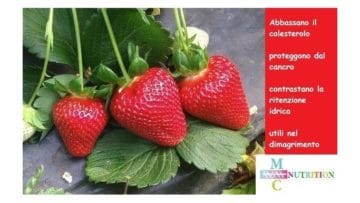 Le Fragole della Salute